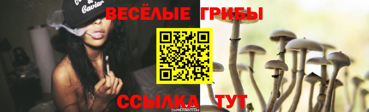 Узловая  Галлюциногенные грибы MAGIC MUSHROOMS  Галлюциногенные грибы прущие грибы  Вход с VPN 